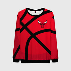 Мужской свитшот Чикаго Буллз Chicago Bulls NBA