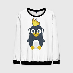 Свитшот мужской Linux пингвин Талисман для программистов, цвет: 3D-черный