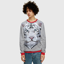 Свитшот мужской Снежный нежный тигр, цвет: 3D-красный — фото 2