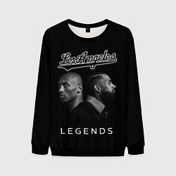 Свитшот мужской Los Angeles Legends Легенды Лос-Анджлелеса, цвет: 3D-черный