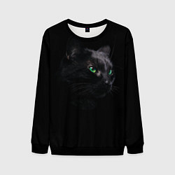 Свитшот мужской Черна кошка с изумрудными глазами, цвет: 3D-черный