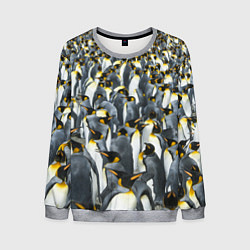 Мужской свитшот Пингвины Penguins