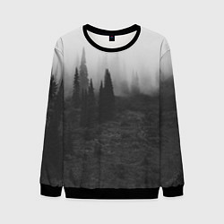 Свитшот мужской Туманный лес - туман, цвет: 3D-черный