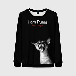 Мужской свитшот Im a Puma Im a cougar