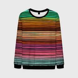 Мужской свитшот Multicolored thin stripes Разноцветные полосы