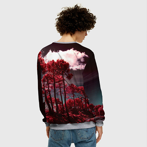 Мужской свитшот Абстрактные красные деревья и облака / 3D-Меланж – фото 4