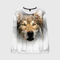 Свитшот мужской Волк: зима, цвет: 3D-белый