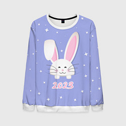 Свитшот мужской Кролик - символ 2023 года, цвет: 3D-белый