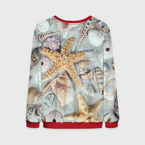Мужской свитшот Морские звёзды и ракушки на океанском песке / 3D-Красный – фото 2