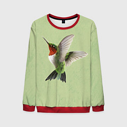 Свитшот мужской Одинокая колибри, цвет: 3D-красный