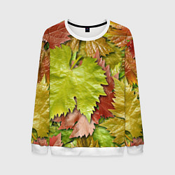 Мужской свитшот Осенние листья клёна - паттерн