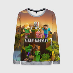 Свитшот мужской Евгений Minecraft, цвет: 3D-меланж