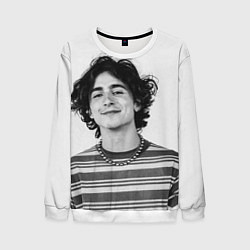 Свитшот мужской Timothee Chalamet black white photo, цвет: 3D-белый