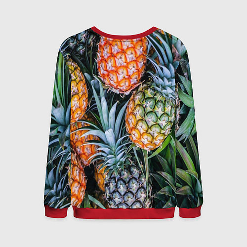 Мужской свитшот Фон из ананасов / 3D-Красный – фото 2