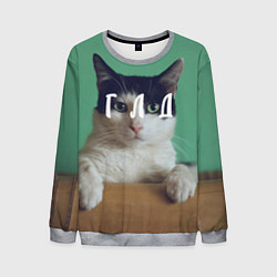 Свитшот мужской Мем с котом - голод, цвет: 3D-меланж