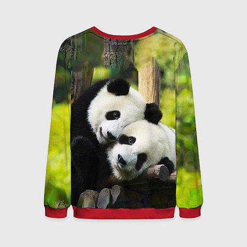Мужской свитшот Влюблённые панды / 3D-Красный – фото 2