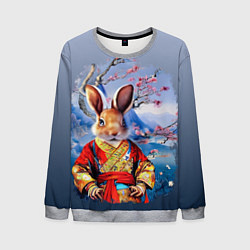 Свитшот мужской Кролик в китайском халате, цвет: 3D-меланж