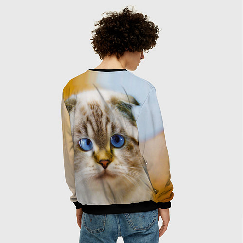 Мужской свитшот Кошка породы шотландская вислоухая косоглазая / 3D-Черный – фото 4