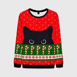 Свитшот мужской Котик: новогодний свитер, цвет: 3D-черный