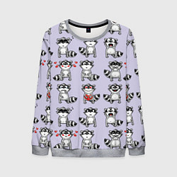 Свитшот мужской Забавные еноты, цвет: 3D-меланж