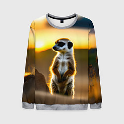Свитшот мужской Сурикат на фоне рассвета, цвет: 3D-меланж