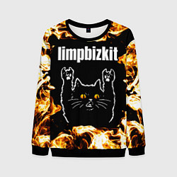 Свитшот мужской Limp Bizkit рок кот и огонь, цвет: 3D-черный