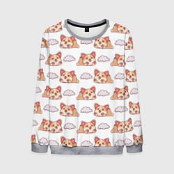 Свитшот мужской Corgi dreams, цвет: 3D-меланж