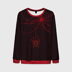 Свитшот мужской Красная паутина, цвет: 3D-красный