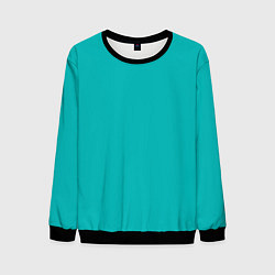 Свитшот мужской Цвет морской волны однотонный, цвет: 3D-черный