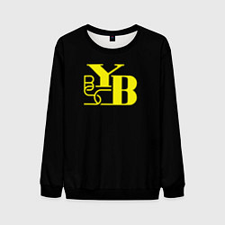 Свитшот мужской Young Boys fc club, цвет: 3D-черный