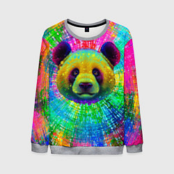 Свитшот мужской Цветная панда, цвет: 3D-меланж