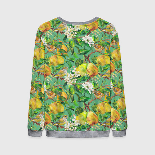 Мужской свитшот Груши и птицы / 3D-Меланж – фото 2