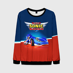 Свитшот мужской Hedgehog - Sonic racing team, цвет: 3D-черный