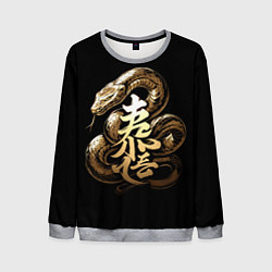 Свитшот мужской Золотая змея вместе с иероглифом, цвет: 3D-меланж
