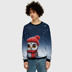 Свитшот мужской Сова в шапке и шарфике, цвет: 3D-черный — фото 2