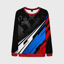 Мужской свитшот Россия - абстракция