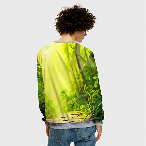 Мужской свитшот Пандочка / 3D-Меланж – фото 4