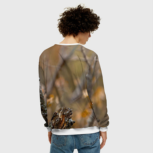 Мужской свитшот Дятел в лесу / 3D-Белый – фото 4
