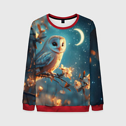 Свитшот мужской Сова и звездное небо, цвет: 3D-красный