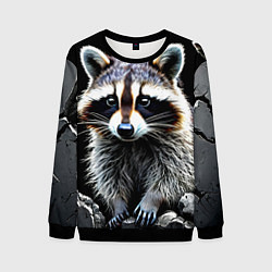 Свитшот мужской Енот на черном, цвет: 3D-черный