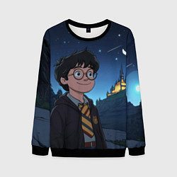 Свитшот мужской Довольный Гарри Поттер, цвет: 3D-черный