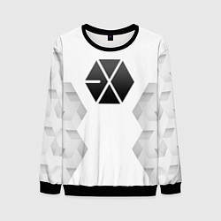Свитшот мужской Exo white poly, цвет: 3D-черный