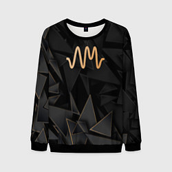 Свитшот мужской Arctic Monkeys golden poly, цвет: 3D-черный