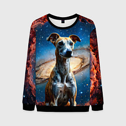 Свитшот мужской Уиппет в космосе, цвет: 3D-черный