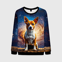 Свитшот мужской Басенджи в космосе, цвет: 3D-черный