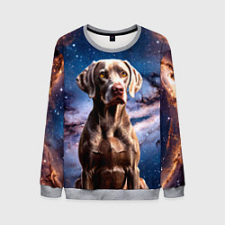 Свитшот мужской Веймаранер в космосе, цвет: 3D-меланж
