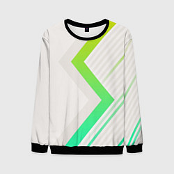 Свитшот мужской Color white line green, цвет: 3D-черный