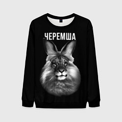 Свитшот мужской Черемша мем, цвет: 3D-черный