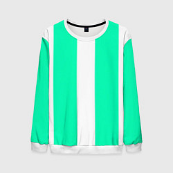 Мужской свитшот Color turquoise white line