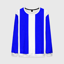 Мужской свитшот Color white blue line
